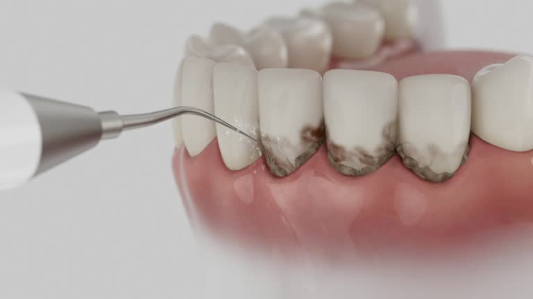 Reliable Dental contractor in Eureka, MT by Dentist Open Now